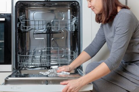 A Woman Is Cleaning the Inside of an Open Dishwasher with a Cloth in Phoenix, AZ
